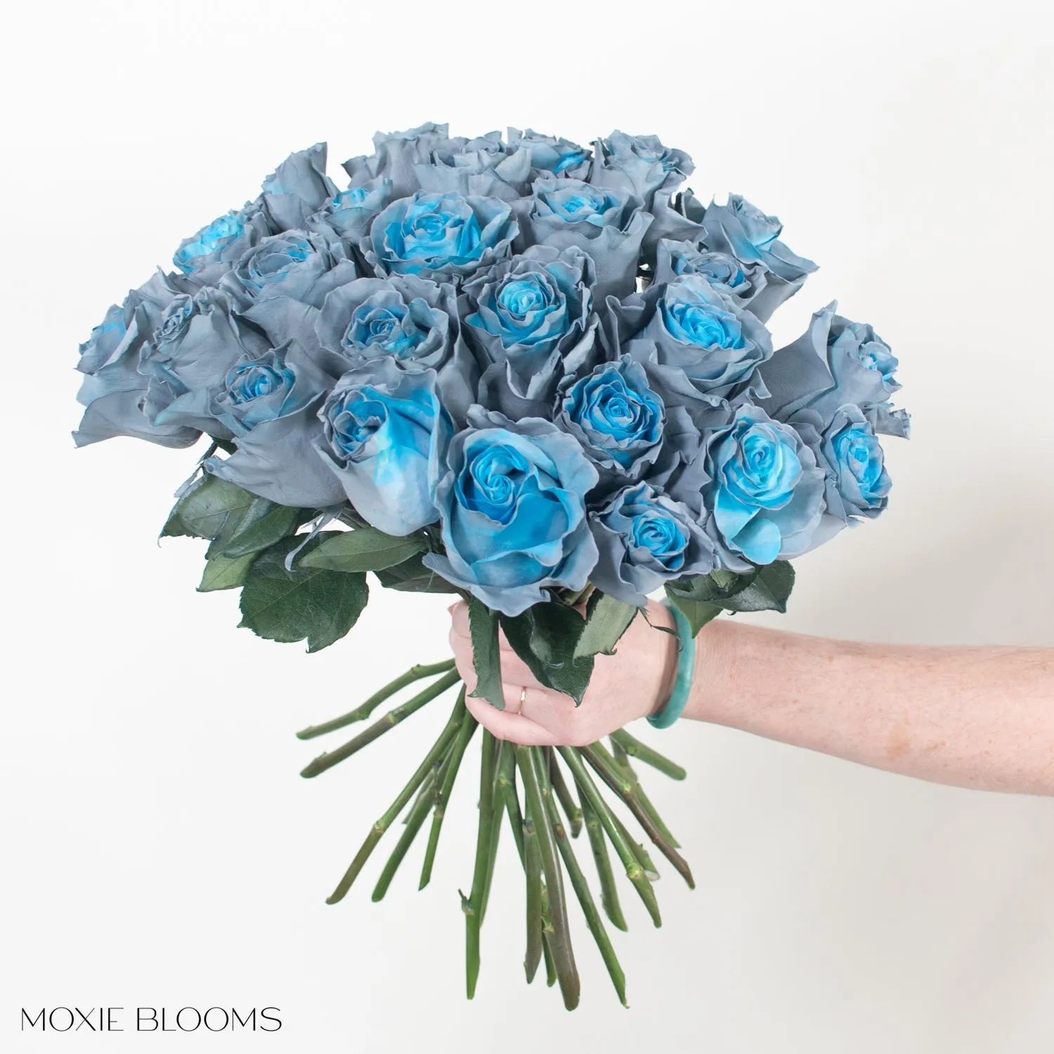 Aquamarine Novelty Roses