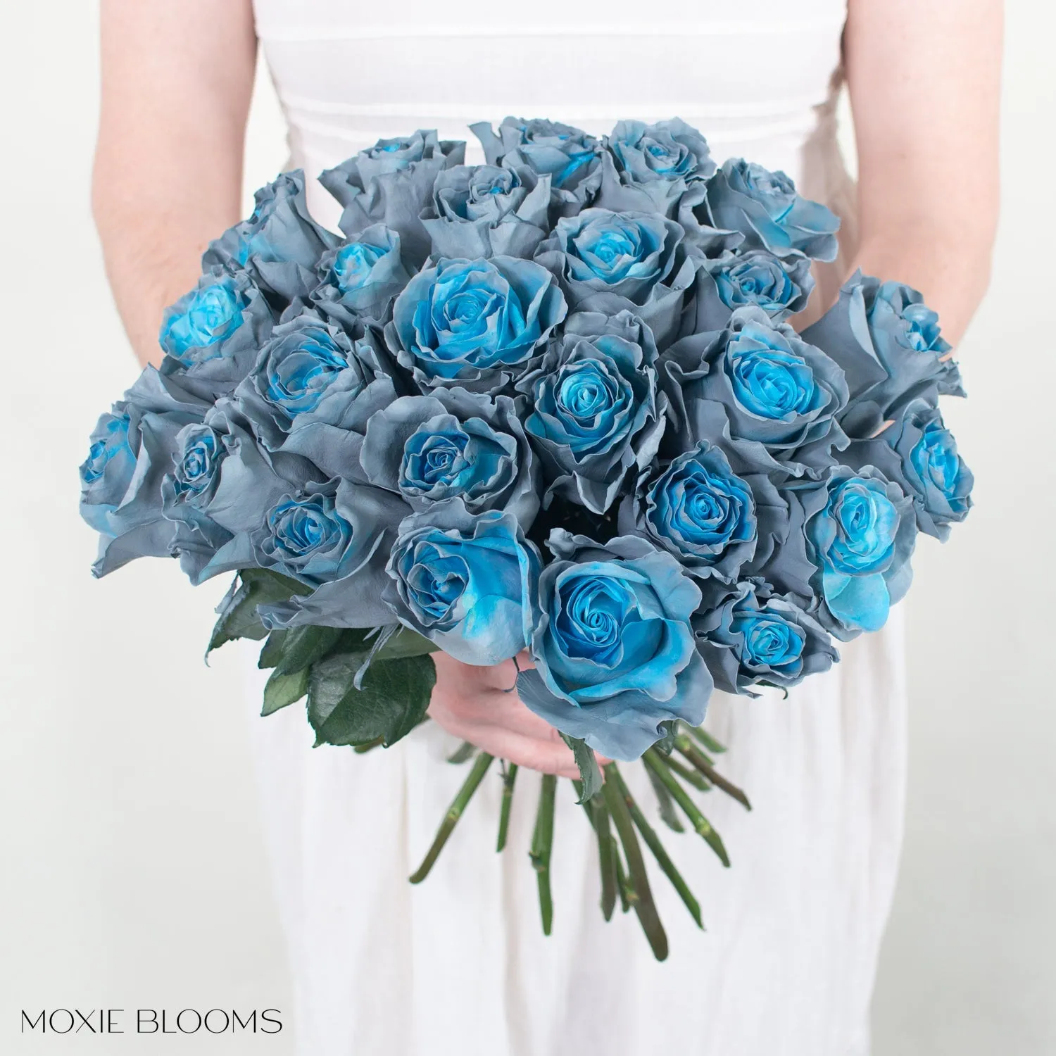 Aquamarine Novelty Roses